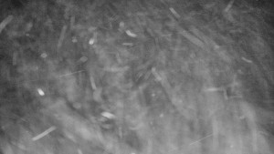 Praděd - Vysílač - Praděd - Vysílač - 30.12.2025 v 18:45