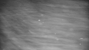 Praděd - Vysílač - Praděd - Vysílač - 30.12.2025 v 19:05