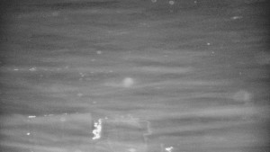 Praděd - Vysílač - Praděd - Vysílač - 30.12.2025 v 19:15