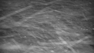 Praděd - Vysílač - Praděd - Vysílač - 30.12.2025 v 20:55