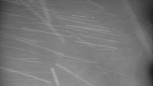 Praděd - Vysílač - Praděd - Vysílač - 2.1.2026 v 04:40