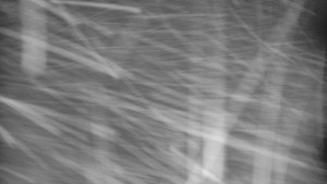 Praděd - Vysílač - Praděd - Vysílač - 2.1.2026 v 04:50