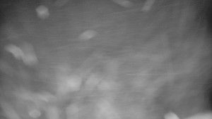 Praděd - Vysílač - Praděd - Vysílač - 2.1.2026 v 05:00