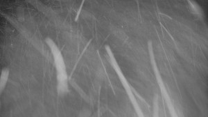 Praděd - Vysílač - Praděd - Vysílač - 2.1.2026 v 06:05