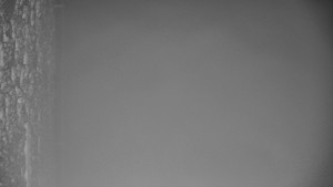 Praděd - Vysílač - Praděd - Vysílač - 25.1.2026 v 05:30 Praděd - Vysílač - Praděd - Vysílač - 25.1.2026 v 05:30