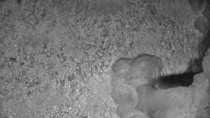 Praděd - Vysílač - Praděd - Vysílač - 25.1.2026 v 05:50 Praděd - Vysílač - Praděd - Vysílač - 25.1.2026 v 05:50