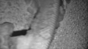 Praděd - Vysílač - Praděd - Vysílač - 25.1.2026 v 06:00 Praděd - Vysílač - Praděd - Vysílač - 25.1.2026 v 06:00