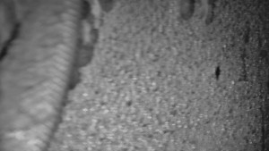 Praděd - Vysílač - Praděd - Vysílač - 25.1.2026 v 06:05 Praděd - Vysílač - Praděd - Vysílač - 25.1.2026 v 06:05