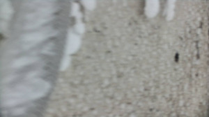 Praděd - Vysílač - Praděd - Vysílač - 25.1.2026 v 08:35 Praděd - Vysílač - Praděd - Vysílač - 25.1.2026 v 08:35