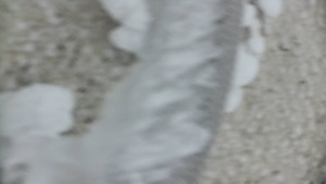 Praděd - Vysílač - Praděd - Vysílač - 25.1.2026 v 08:40 Praděd - Vysílač - Praděd - Vysílač - 25.1.2026 v 08:40