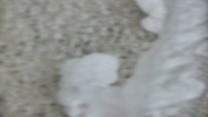 Praděd - Vysílač - Praděd - Vysílač - 25.1.2026 v 08:45 Praděd - Vysílač - Praděd - Vysílač - 25.1.2026 v 08:45