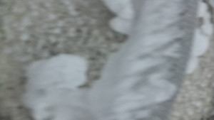 Praděd - Vysílač - Praděd - Vysílač - 25.1.2026 v 09:05 Praděd - Vysílač - Praděd - Vysílač - 25.1.2026 v 09:05