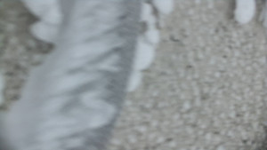 Praděd - Vysílač - Praděd - Vysílač - 25.1.2026 v 09:10 Praděd - Vysílač - Praděd - Vysílač - 25.1.2026 v 09:10