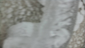 Praděd - Vysílač - Praděd - Vysílač - 25.1.2026 v 11:55