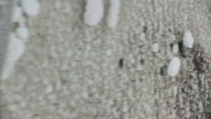 Praděd - Vysílač - Praděd - Vysílač - 25.1.2026 v 12:20 Praděd - Vysílač - Praděd - Vysílač - 25.1.2026 v 12:20