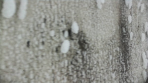 Praděd - Vysílač - Praděd - Vysílač - 25.1.2026 v 12:25 Praděd - Vysílač - Praděd - Vysílač - 25.1.2026 v 12:25