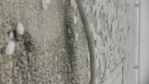 Praděd - Vysílač - Praděd - Vysílač - 25.1.2026 v 12:30 Praděd - Vysílač - Praděd - Vysílač - 25.1.2026 v 12:30