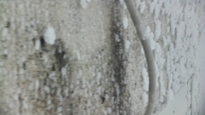 Praděd - Vysílač - Praděd - Vysílač - 25.1.2026 v 14:45 Praděd - Vysílač - Praděd - Vysílač - 25.1.2026 v 14:45