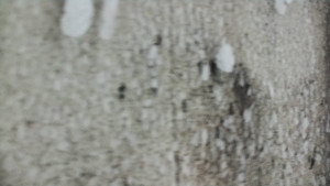 Praděd - Vysílač - Praděd - Vysílač - 25.1.2026 v 14:50 Praděd - Vysílač - Praděd - Vysílač - 25.1.2026 v 14:50