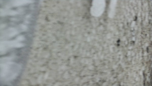 Praděd - Vysílač - Praděd - Vysílač - 25.1.2026 v 14:55