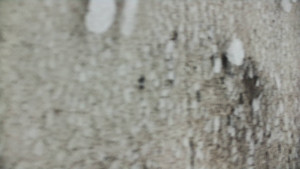 Praděd - Vysílač - Praděd - Vysílač - 25.1.2026 v 15:30 Praděd - Vysílač - Praděd - Vysílač - 25.1.2026 v 15:30