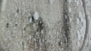 Praděd - Vysílač - Praděd - Vysílač - 25.1.2026 v 15:35 Praděd - Vysílač - Praděd - Vysílač - 25.1.2026 v 15:35