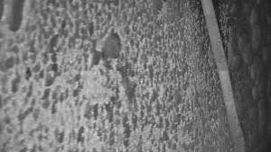 Praděd - Vysílač - Praděd - Vysílač - 25.1.2026 v 17:55 Praděd - Vysílač - Praděd - Vysílač - 25.1.2026 v 17:55