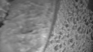 Praděd - Vysílač - Praděd - Vysílač - 25.1.2026 v 18:30 Praděd - Vysílač - Praděd - Vysílač - 25.1.2026 v 18:30