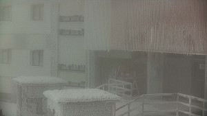 Praděd - Vysílač - Praděd - Vysílač - 29.1.2026 v 11:30