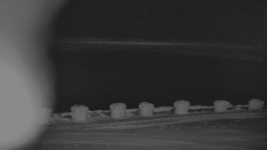 Praděd - Vysílač - Praděd - Vysílač - 14.2.2026 v 05:00