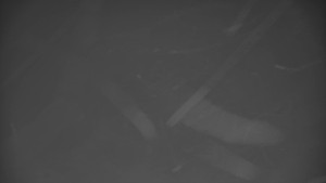 Praděd - Vysílač - Praděd - Vysílač - 14.2.2026 v 19:00