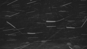 Praděd - Vysílač - Praděd - Vysílač - 23.2.2026 v 05:00