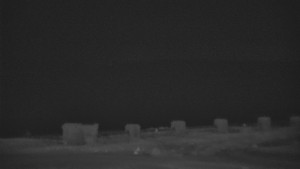 Praděd - Vysílač - Praděd - Vysílač - 10.3.2026 v 00:30