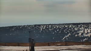 Praděd - Vysílač - Praděd - Vysílač - 15.3.2026 v 10:10