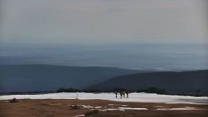 Praděd - Vysílač - Praděd - Vysílač - 15.3.2026 v 11:55