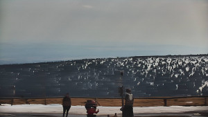 Praděd - Vysílač - Praděd - Vysílač - 15.3.2026 v 12:20