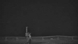 Praděd - Vysílač - Praděd - Vysílač - 20.3.2026 v 00:10