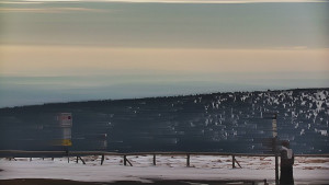 Praděd - Vysílač - Praděd - Vysílač - 20.3.2026 v 08:35