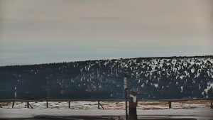 Praděd - Vysílač - Praděd - Vysílač - 20.3.2026 v 15:55 Praděd - Vysílač - Praděd - Vysílač - 20.3.2026 v 15:55