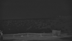 Praděd - Vysílač - Praděd - Vysílač - 20.3.2026 v 18:55