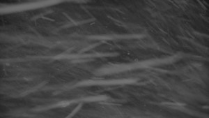 Praděd - Vysílač - Praděd - Vysílač - 25.3.2026 v 23:45