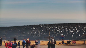 Praděd - Vysílač - Praděd - Vysílač - 25.4.2026 v 13:00