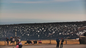 Praděd - Vysílač - Praděd - Vysílač - 25.4.2026 v 13:05