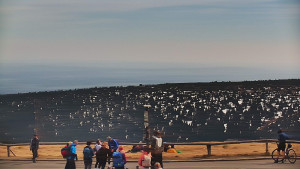 Praděd - Vysílač - Praděd - Vysílač - 25.4.2026 v 14:00