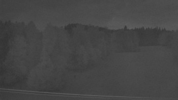 Snímek    10.5.2025 v 04:10