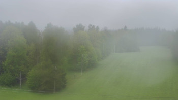 Snímek    15.5.2025 v 08:45
