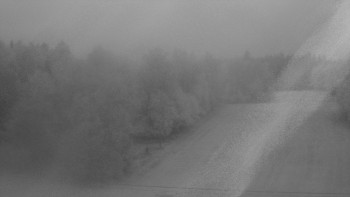 Snímek    15.10.2025 v 06:50
