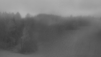 Snímek    3.11.2025 v 06:25