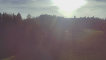 Snímek 5.11.2025 v 13:10