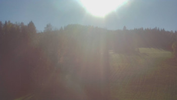 Snímek 6.11.2025 v 13:00